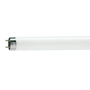 Philips - tube fluorescent 1381443 - Tube Fluorescent