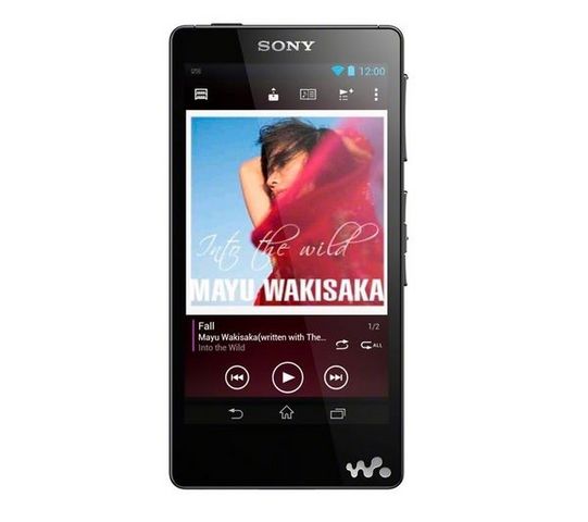 SONY - MP3-SONY-NWZ-F886 noir - 32 Go - Lecteur MP3/MP4