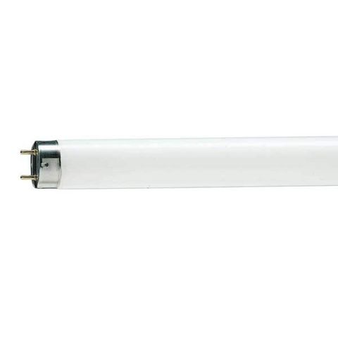 Philips - Tube fluorescent-Philips-Tube fluorescent 1381443