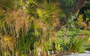 FLORIAN DEGROISE -  - Landscaped Garden