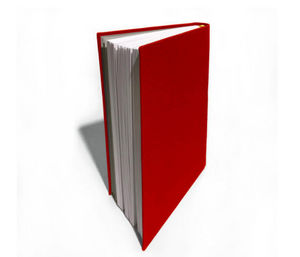 Papier Plus - grand carnet - Notebook
