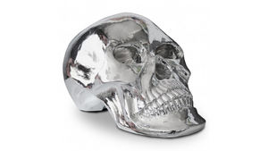 mobilier moss - brain- - Decorative Skull