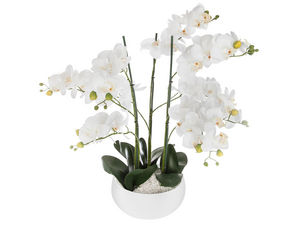 ATMOSPHERA -  - Flower Bouquet