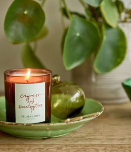 PLUM & ASHBY - cypress & eucalyptus - Scented Candle