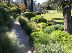 ARCHI PAYSAGE -  - Landscaped Garden