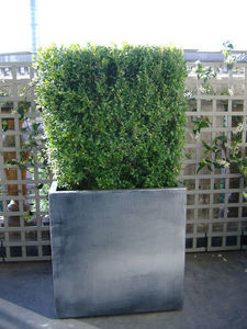 ATELIER SO GREEN - icc60 - gamme matiere - finition zinc - Flower Container