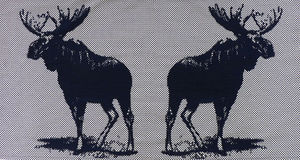 NEOLICE - orein e1 - Modern Tapestry