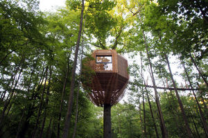 Atelier Lavit - origin - Treehouse