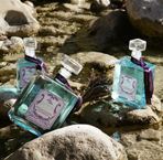 Nicolosi Creations Parfum
