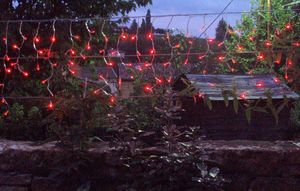 FEERIE SOLAIRE - guirlande solaire rideau 80 leds rouges 3m80 - Lichterkette