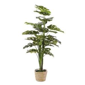 MAISONS DU MONDE - plante artificielle 1420083 - Planta Artificial